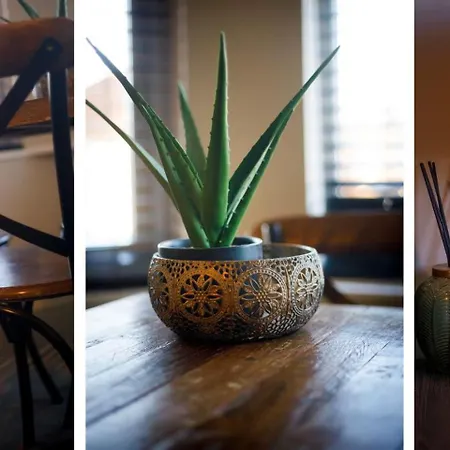 布萨姆约克科利尔里公寓 公寓