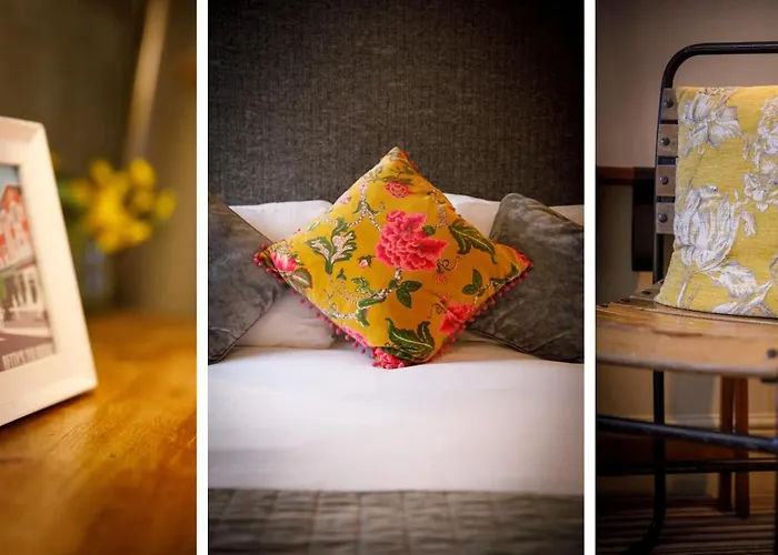 Clearly Bootham York