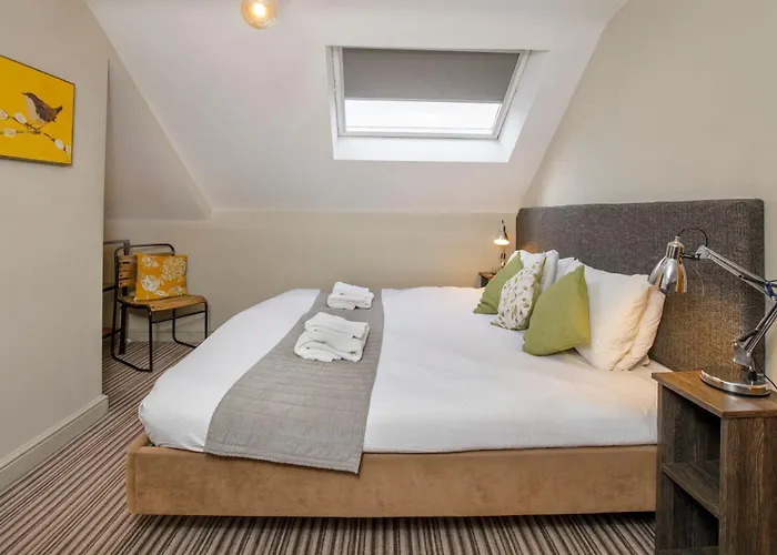 Clearly Bootham York